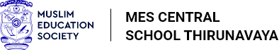 MES Logo